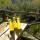 preview image9 nostri prodotti